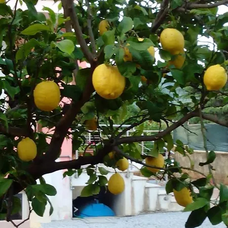 60quattro Bedrooms Guest house Lamezia Terme